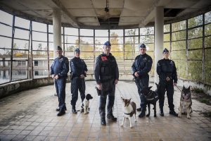 DACH federale politie